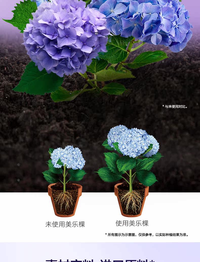 Hydrangea 500-6_03.jpg