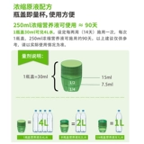 Meluke Green Специальное питательное растение горшок с горшками Популярные посаженные цветочные жиры Семейство садоводство садоводство.