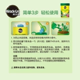 Семейство Meluki.