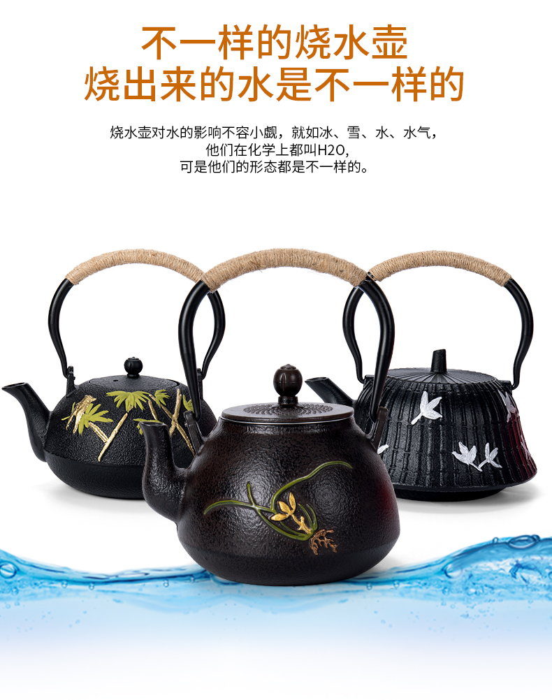 Ronkin checking iron pot of cast iron kettle electric TaoLu boiled tea, Japanese tea taking teapot single pot of restoring ancient ways