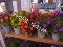 Childrens live props simulation flower photo studio props bonsai window ornaments