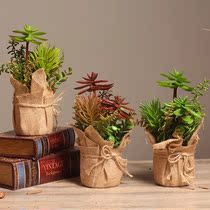 American country simulation fleshy flowers and plants potted desktop small ornaments creative living room wine cabinet bonsai decorations