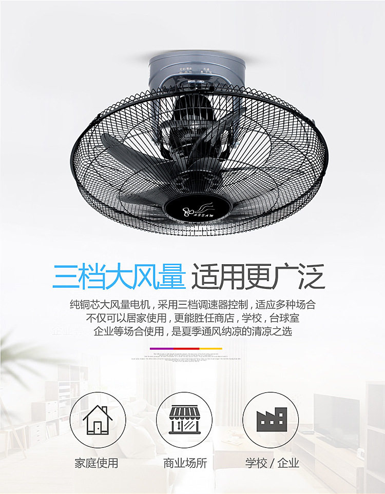 TAOBAO 1-COPY_3.JPG