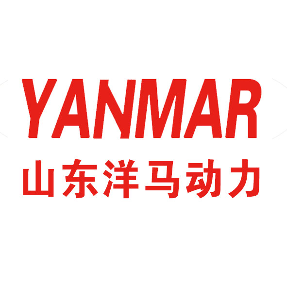 山东洋马发动机