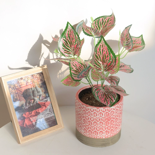 Моделирование растения стены зеленое растение фоновая стенка