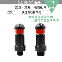 Exhaust valve Outlet valve Plastic miniature air valve for farmer irrigation Quick automatic exhaust valve Israel import