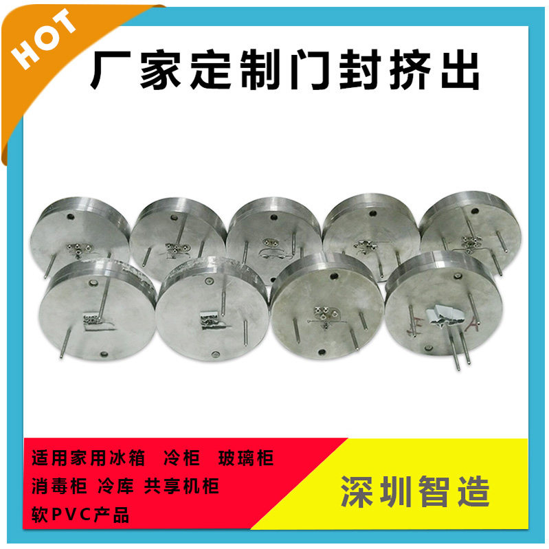 Refrigerator Extrusion Die Freezer Sealing Strip Extrusion Die Custom Heteroprofiles Mold Extrusion Molding