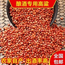Brewing raw material customer-specific link red sorghum 10 pounds