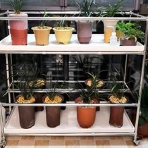 Integrated orchid stand orchid stand special integrated water tray automatic drainage tray delivery drainage system customized