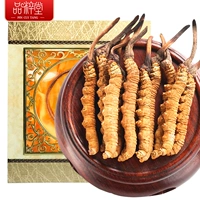 品粹堂 Cordyceceps Sinensis 5G Аутентичная трава, тибетская высокая высота, первая подарочная коробка, оснащенная 3/грамм