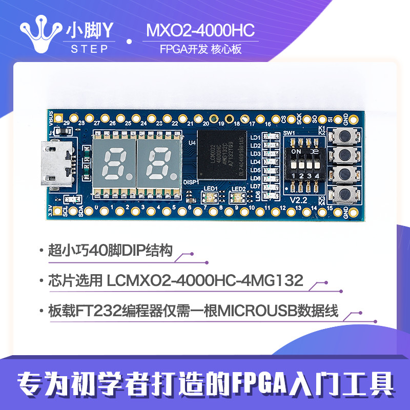 Xiaofuya FPGA development board Lattice core board On-board downloader Digital signal control processing