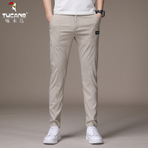 Woodpecker casual pants male Korean version Trend handsome sports pants Summer slim fit men slim fit small footed pants damp
