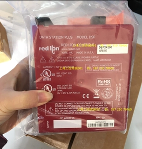 红狮 Часы реального времени Red LION PAXCK000, PAXCK010, PAXCK100, PAXCK110