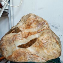 Tang River color jade