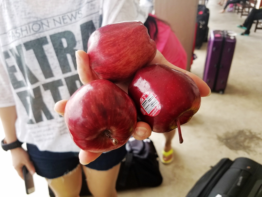 20170329_074751.jpg