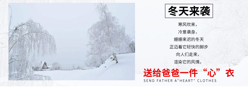 Blouson chaud pour homme en Polyester - Ref 3112196 Image 8