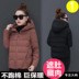 phụ nữ xuống bông Quần áo ngắn Hàn Quốc phiên bản lỏng lẻo 2019 áo mới lớn kích thước bông phụ nữ quần áo chất béo mùa đông len bông 