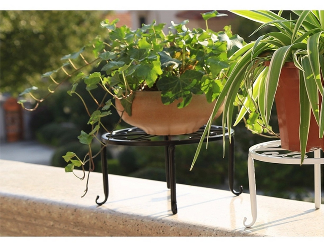 Cây sắt rèn châu Âu hoa đứng trong nhà và ngoài trời tròn phân ban công chịu lực chậu hoa giá đỡ củ cải xanh chậu hoa đứng - Kệ kệ sách giá rẻ