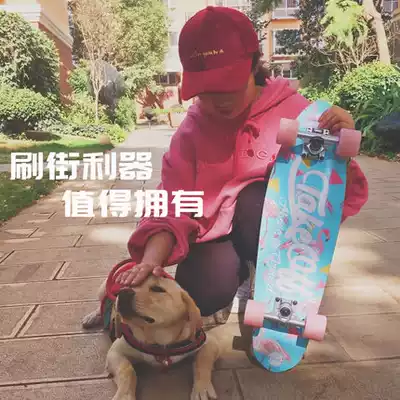 TAKEOFF new male and female students beginner riding small fish board novice extreme four-wheel brush street professional skateboard
