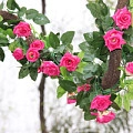 Mô phỏng Hoa hồng Hoa Hồng Mây Hoa giả bằng nhựa Hoa lụa Điều hòa nhiệt độ sưởi ấm Trang trí ống hoa treo tường 2 - Hoa nhân tạo / Cây / Trái cây