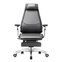 Baoyou Genidia X high-end ergonomic chair office chair computer chair comfortable for long periods of sitting