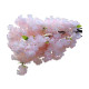 Simulated ສີຂາວ cherry blossom peach blossom ດອກໄມ້ປອມ wedding arch ກໍາແພງຫີນຕົບແຕ່ງດອກໄມ້ໃນລົ່ມສະແດງດອກດຽວແຫ້ງດອກຜ້າໄຫມ