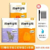 [Groove Beginner Edition] 1 Том управления ручкой + 1 том цифровой версии + 1 том живописи (непредубированная версия имени)