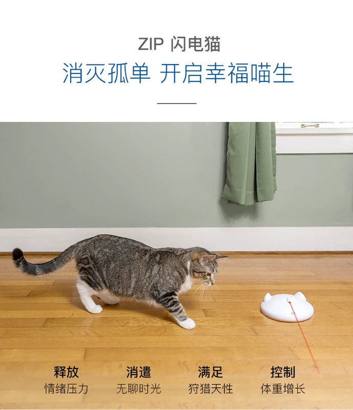 Petsafe tự động đồ chơi mèo đồ chơi mèo đồ chơi mèo điện laser mèo vật nuôi mèo nguồn cung cấp - Mèo / Chó Đồ chơi