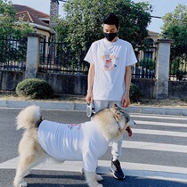 Large Dog Pets Birthday Parenting Summer Alaska T-Shirt Teddy Gold Mullabrador Breathable Nonstick Hair