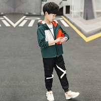 XCP-20158 Зеленый