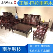 Mới gỗ rắn cổ điển phong cách Ming gỗ gụ sofa gỗ hồng mộc phong cách nội thất phòng khách Trung Quốc kết hợp căn hộ nhỏ Nam Mỹ - Ghế sô pha