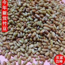 Haricot de bambou New Stock Brow Bean 5 Catty Small Bamboo Beans Bayama Bean Farmhouse Self-bred Sloth Bean Guizhou Teprolific Climbing Mountain Bean Bean Sand Cake