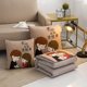 Pillow quilt dual-purpose folding car air conditioning quilt