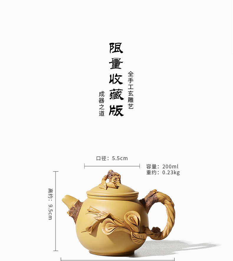 Shadow enjoy imitation wood are it Chen Dongzhu famous tea is purple sand teapot kung fu tea set piece of clay ore single pot of Y