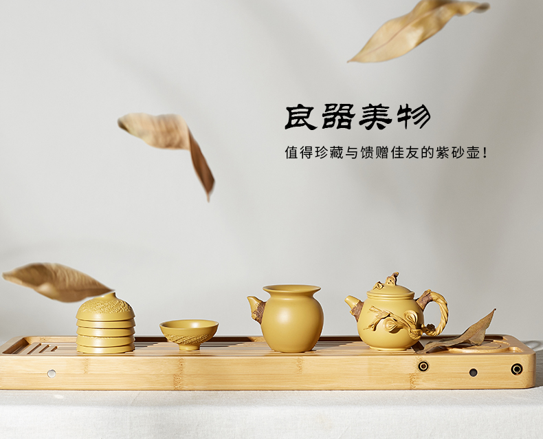 Shadow enjoy imitation wood are it Chen Dongzhu famous tea is purple sand teapot kung fu tea set piece of clay ore single pot of Y