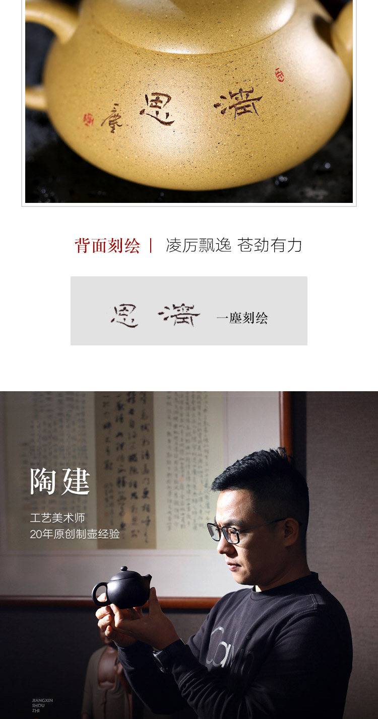 Yixing masters shadow enjoy 】 【 pure checking ceramic tea pot - completely TaoJian mud the qing thought 180 CCCT