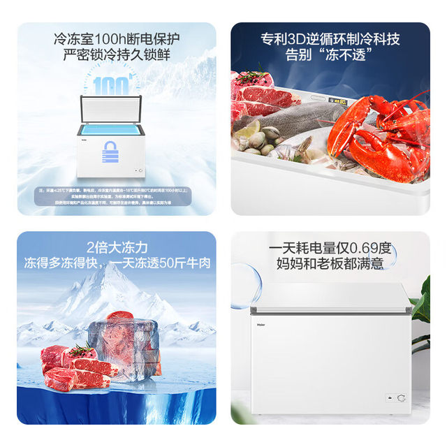 Frost-Reducing New Model Haier 303 Liter Single Temperature Freezer Steel Plate Liner Bc/Bd-303Ghpdz