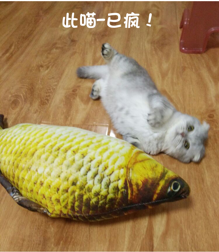 Mèo đồ chơi catnip vui mèo đồ chơi cá mèo gối cỏ cá pháp luật chiến đấu chó sang trọng mèo cá đồ chơi do choi cho cho