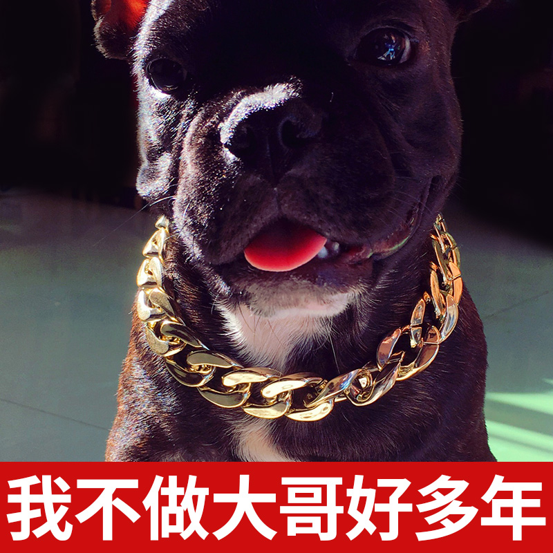 Teddy Bargo French Dog Gold Chain Small and Medium Dog Collar Pet Gold Necklace Jewelry Accessories Pendant Supplies