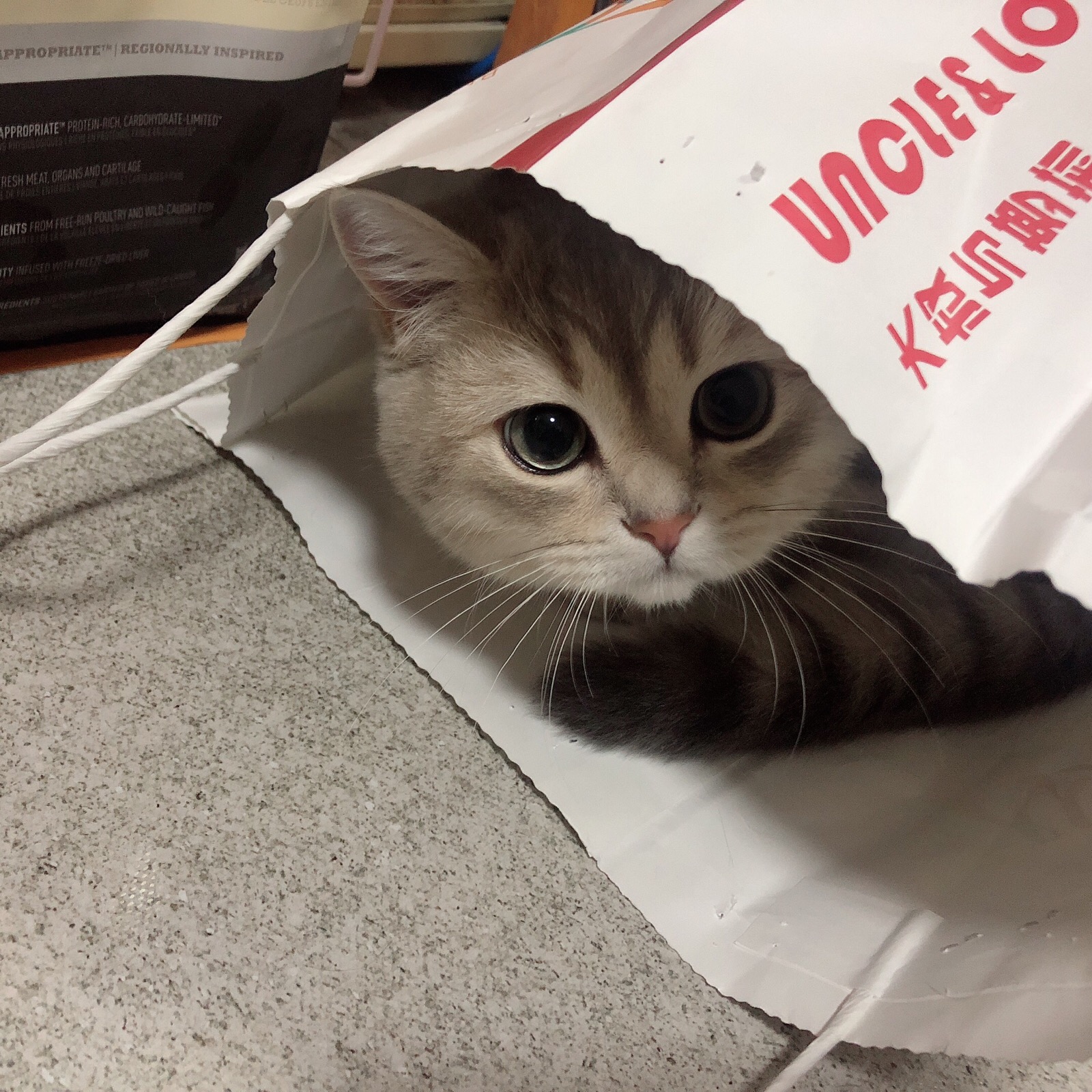 国产猫粮逐渐崛起,这6款放心入手