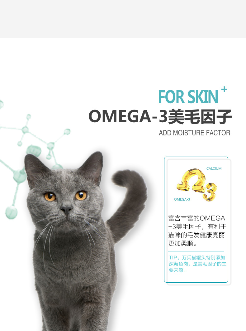 Wan Bing Tuna Chicken Cat Đóng hộp 170g * 12 Lon FCL Giải phóng mặt bằng Mèo trẻ ăn vặt hạt cho mèo ăn