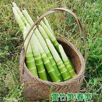 Day special small bamboo shoots fresh bamboo shoots farmhouse Sichuan hot pot bamboo shoots bagged water Thunder bamboo shoots dry dry bamboo shoots tip
