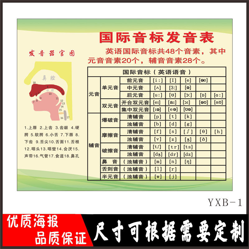 Class placement wall sticker Motivate Slogan Campus English Classroom Placement Decoration International Phonetic Pronunciation Table Wall Sticker
