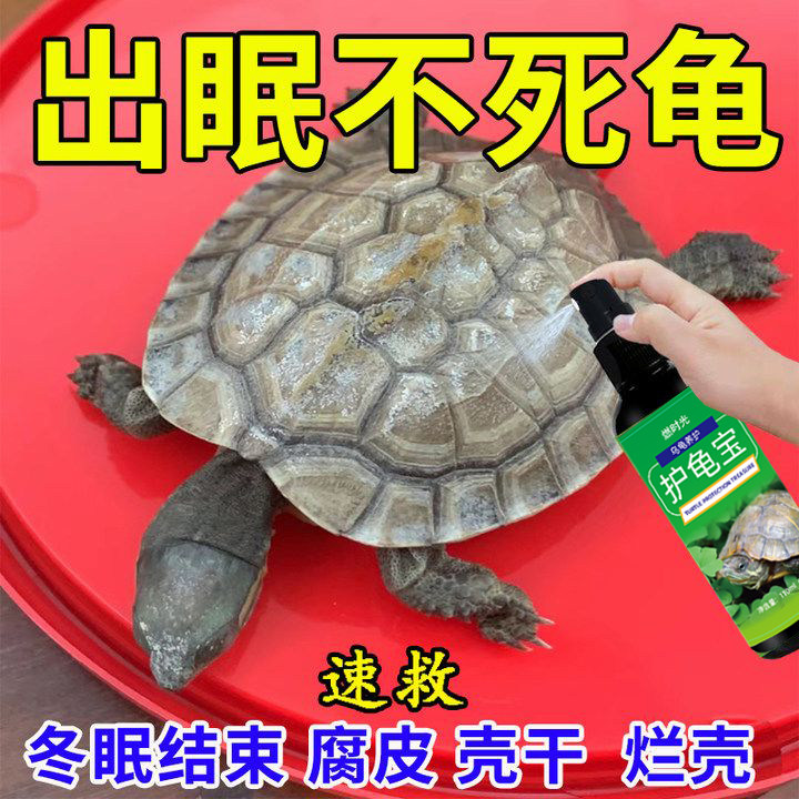 护龟液水巴西龟乌龟药：守护你的小龟龟，远离白眼病、腐皮烂甲！-爬虫-淘宝好物网