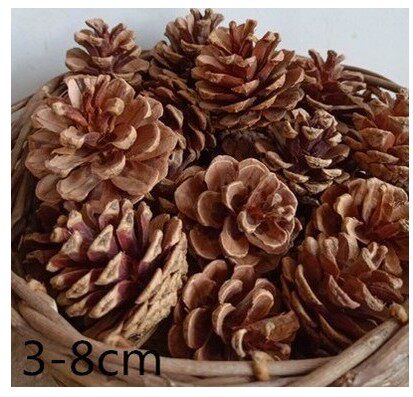 Supply pine balls, masson pine, fish scales, pine cones, dried flowers, packaging materials, bark, wood silk, filling, moss grass