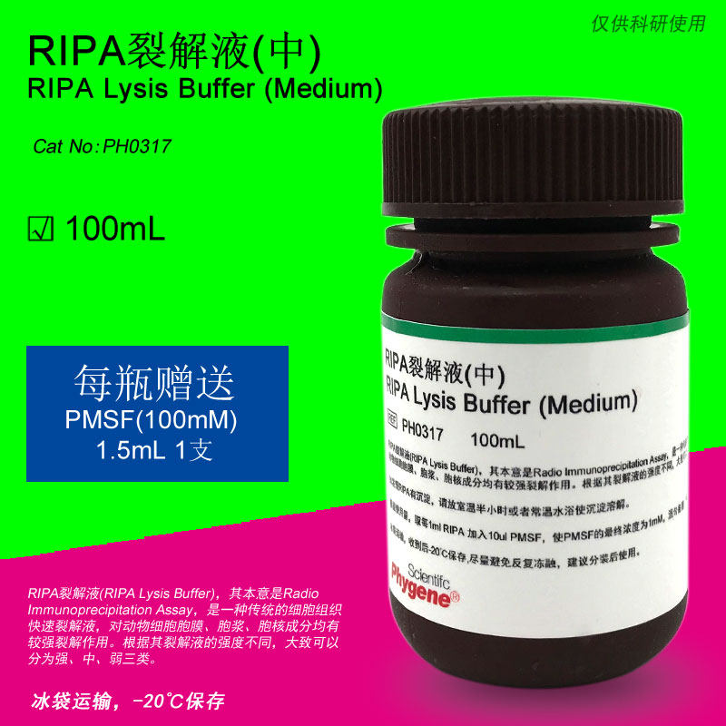RIPA裂解液 (中) RIPA Lysis Buffer 科研实验 [PH0317 PHYGENE]