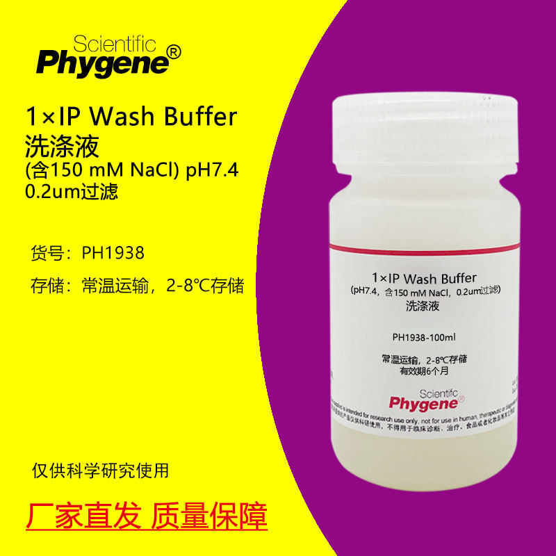 1&times;IP Wash Buffer洗涤液 (含150 mM NaCl) 100mL 免疫沉淀实验