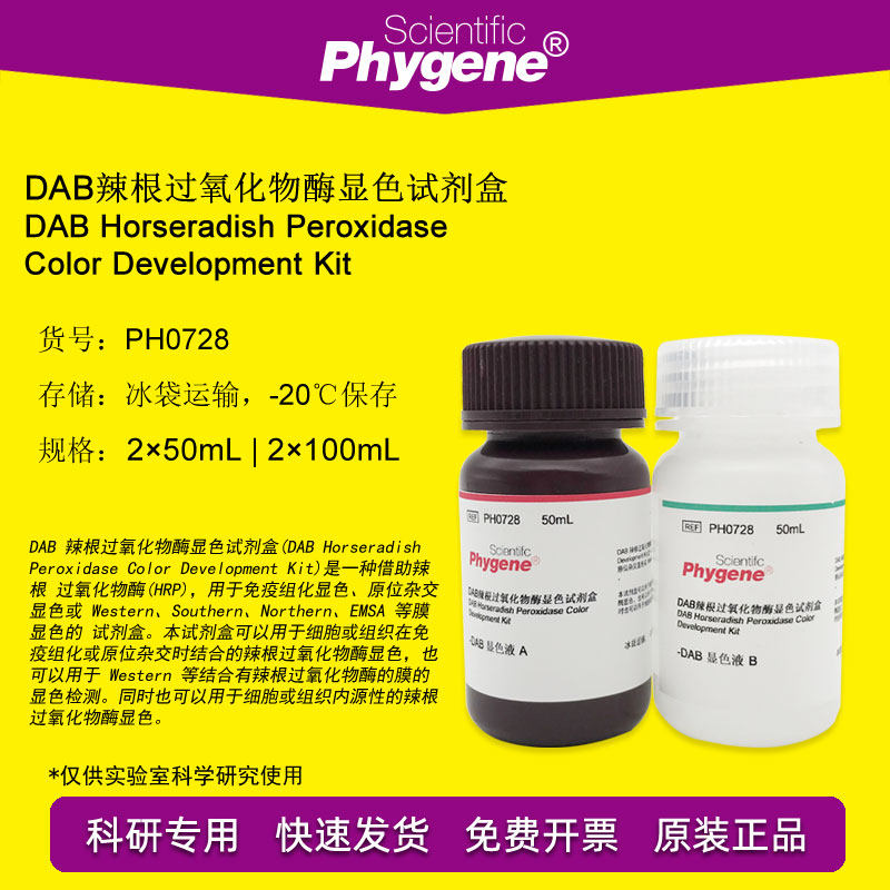 PH0728 DAB辣根过氧化物酶显色试剂盒 2&times;100ML DAB显色液