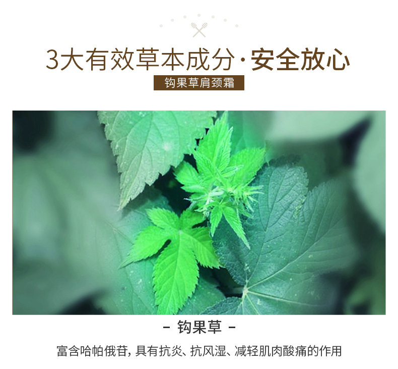 德国 Zirkulin 勾果草肩颈霜 125ml 舒缓肩颈疲劳 图10