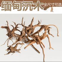 Water grass tank landscape sink wood Natural root Rhododendron root Moss tree Flow wood habitat root landscape tree